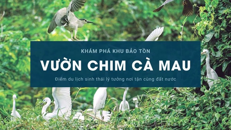 Điểm du lịch sinh thái lý tưởng cho các kỳ nghỉ  